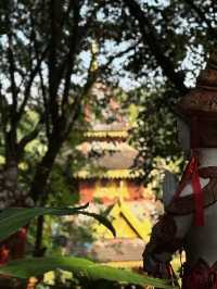 景洪曼聽御花園攻略