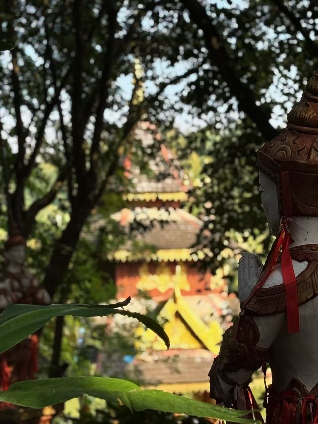 景洪曼聽御花園攻略 景洪曼聽御花園攻略