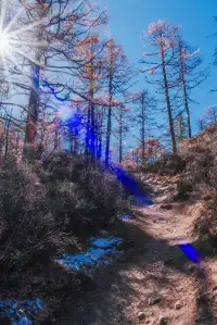 攻略貼一人非自駕川西行稻城亞丁篇