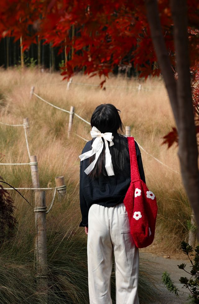 金色的粉黛是冬季的明信片 金色的粉黛是冬季的明信片