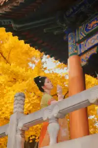 巨出片西安嚴重被低估的皇家寺院