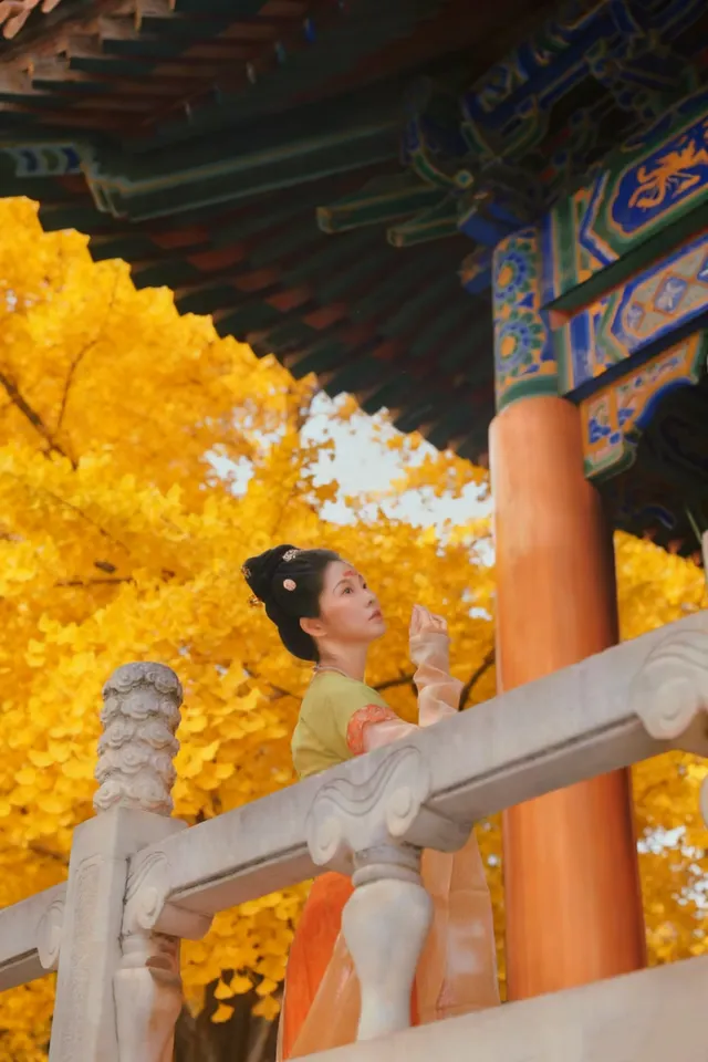 巨出片西安嚴重被低估的皇家寺院