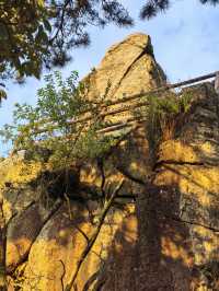 無限風光在險峰！