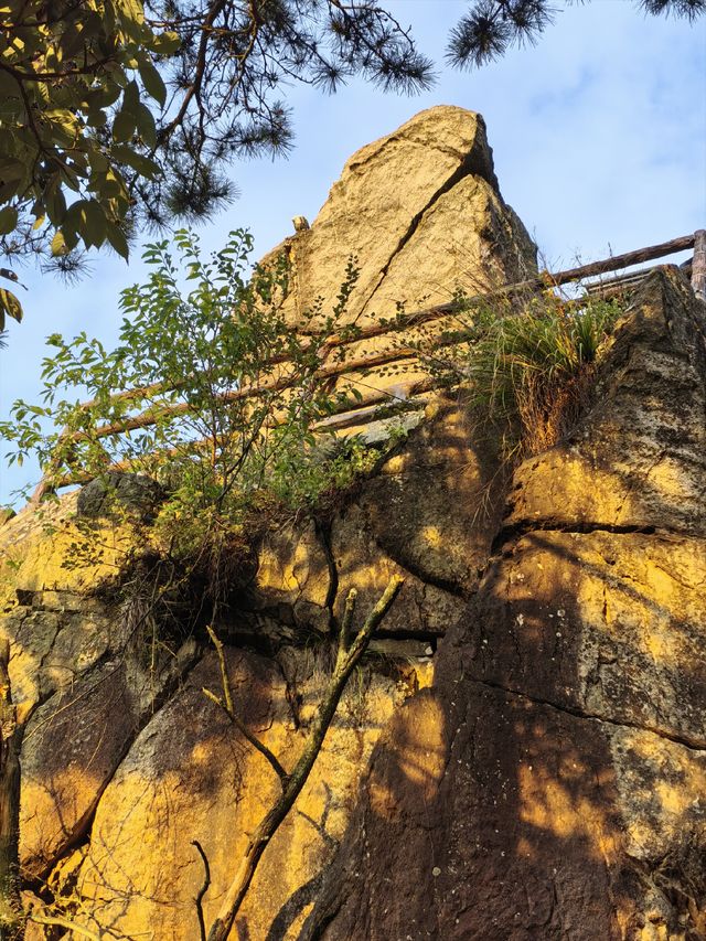 無限風光在險峰！