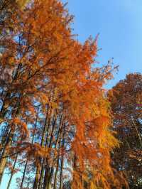 又一個公園透綠