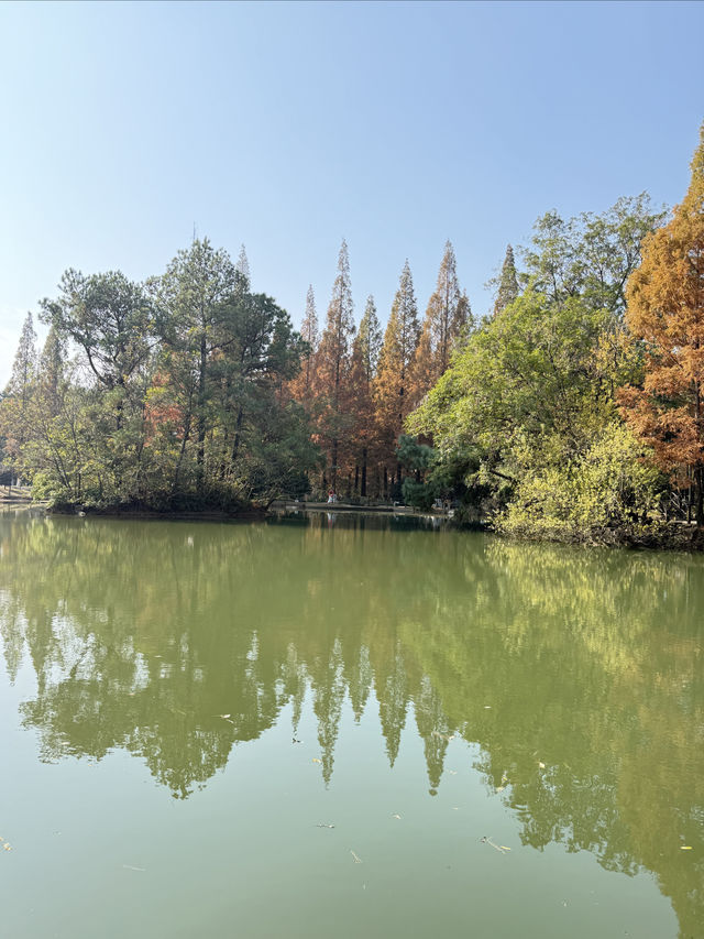 虞山景區秋景 虞山景區秋景
