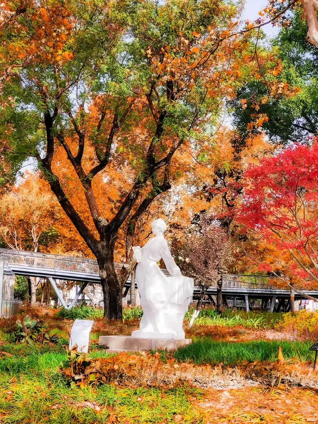 11.27實拍!和平公園的秋天比濾鏡還絕! 11.27實拍!和平公園的秋天比濾鏡還絕!