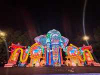昆明大觀公園新春燈會(八)