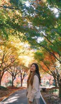 魔都絕美賞秋地!花開海上生態園治癒系深秋大片拍攝攻略