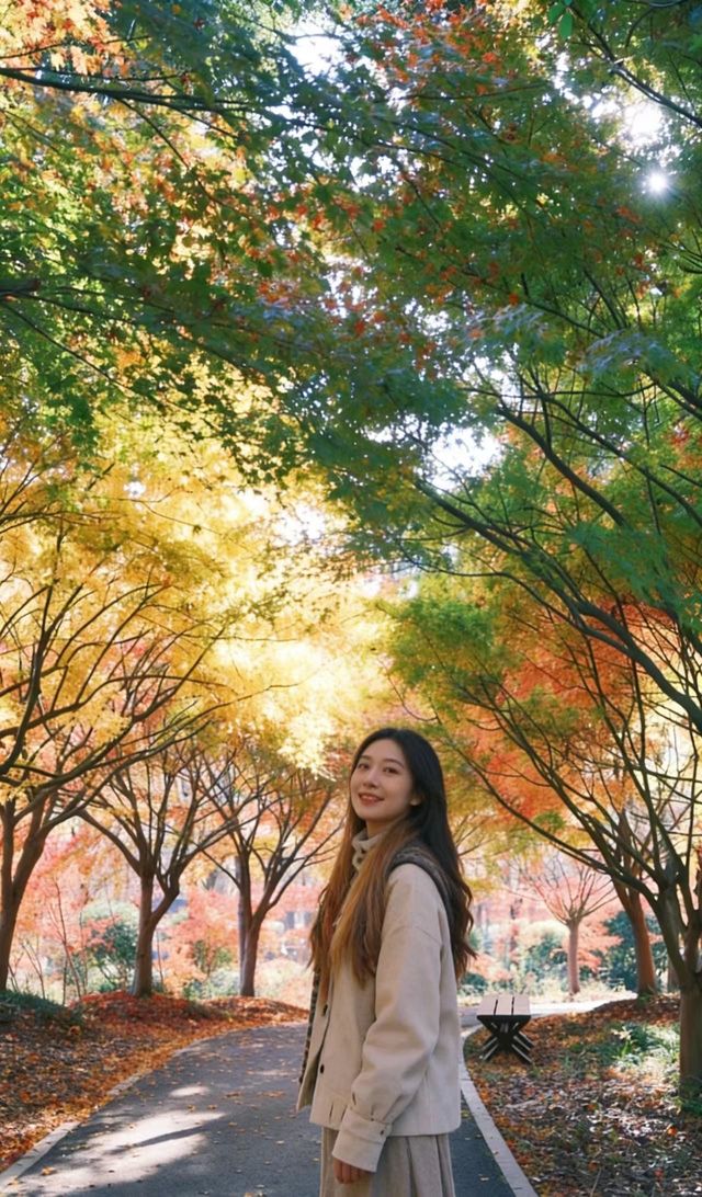 魔都絕美賞秋地!花開海上生態園治癒系深秋大片拍攝攻略 魔都絕美賞秋地!花開海上生態園治癒系深秋大片拍攝攻略