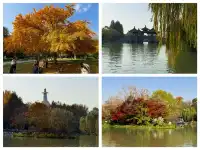 週末打卡一座城之揚州day2