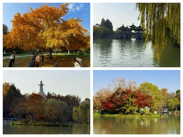 週末打卡一座城之揚州day2