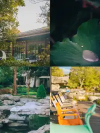 帶父母出遊,這裡成了他們的“誇誇群”