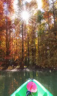 終於等來上海天花板水杉林的封神期附攻略