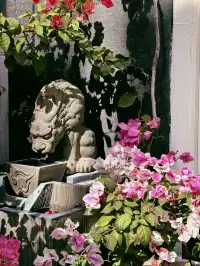 泉州|悄悄分享一個沒有人知道的絕美角落