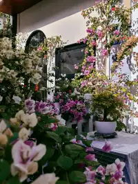 泉州|悄悄分享一個沒有人知道的絕美角落