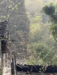 揚州自駕莫干山一日半｜避坑+驚喜全攻略