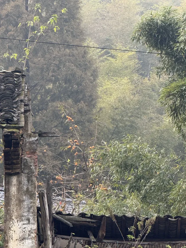 揚州自駕莫干山一日半｜避坑+驚喜全攻略