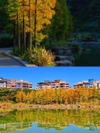 超詳細！清遠桃花湖3天2晚親子遊｜人均幾千搞定神仙度假