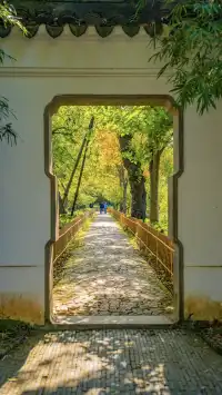 答應我!秋天一定要來一次天平山附攻略