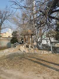 天津中山公園｜秋日限定的金色童話世界  落日銀杏+古建長廊！隨手拍都是電影感大片   天津秋日頂流