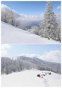 哈爾濱-長白山-延吉旅遊攻略~