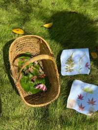 江浙滬｜在北緯30°海岸線邊漁村，做一日村民