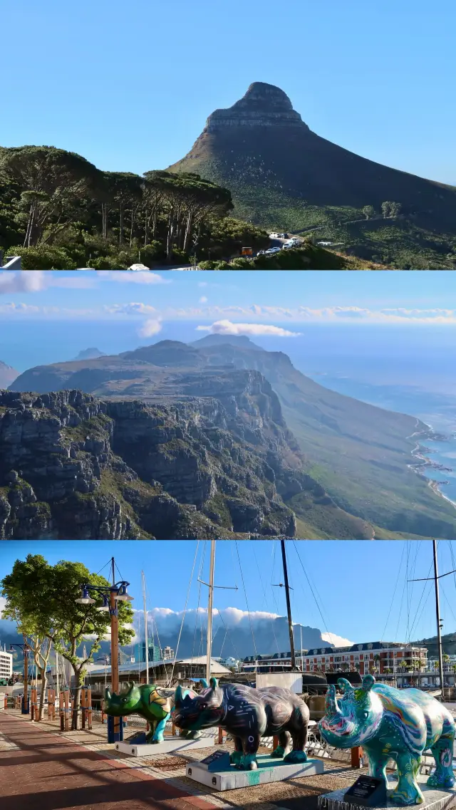 แอฟริกาใต้｜ฉันควรจะบรรยายเคปทาวน์กับคุณยังไงดี?