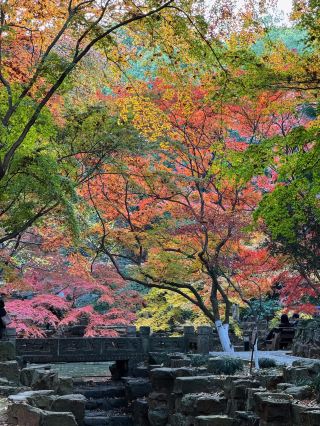 12. Yushan｜The ultimate autumn scenery spot in Jiangsu and Zhejiang—if you don’t go now, you’ll miss it