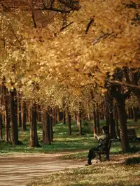 12.6共青森林公園橙黃橘綠時(附路線)