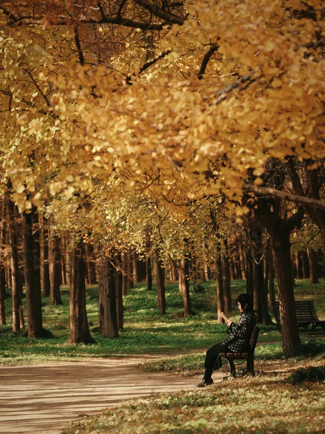12.6共青森林公園橙黃橘綠時(附路線) 12.6共青森林公園橙黃橘綠時(附路線)