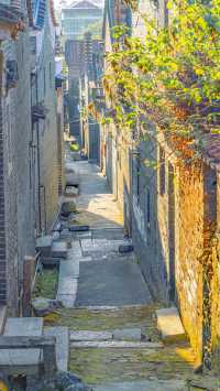 佛山三水長岐古村拍照,這裡的煙火氣和日落氛圍絕美