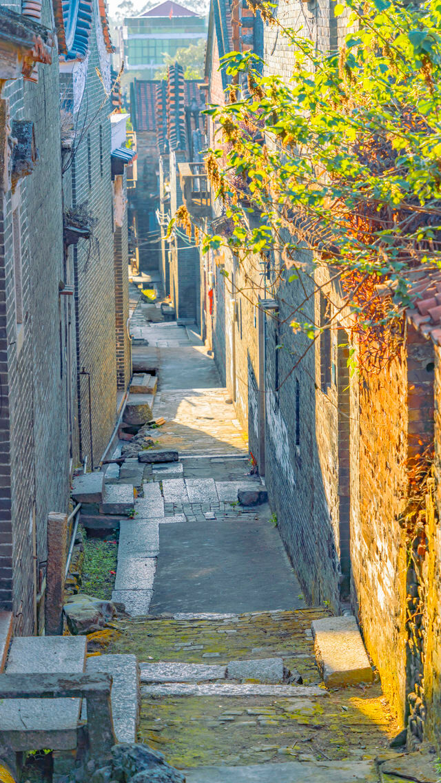 佛山三水長岐古村拍照,這裡的煙火氣和日落氛圍絕美 佛山三水長岐古村拍照,這裡的煙火氣和日落氛圍絕美