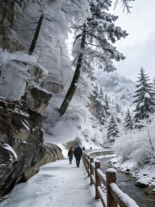 Три главных совета по оздоровлению зимой: облегчение симптомов простуды при температуре 15℃ + горячие источники + диетотерапия – расслабьтесь и восстановите силы для хорошего самочувствия.