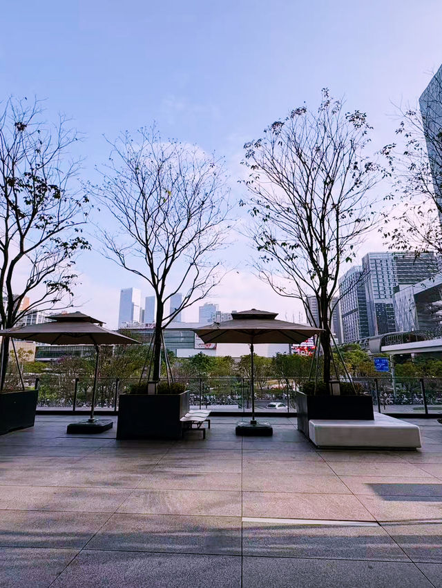 深圳圖書館:城市裡最溫柔的親子綠洲 深圳圖書館:城市裡最溫柔的親子綠洲