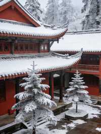 12.13峨眉山現場實況,真的崩潰了