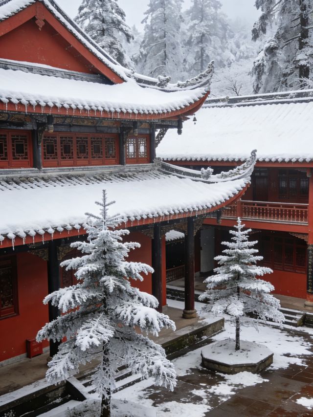 12.13峨眉山現場實況,真的崩潰了 12.13峨眉山現場實況,真的崩潰了