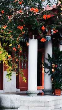 泉州藏了一處千年古寺!比開元寺更清淨