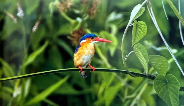 全球必騎100條神級路線-亞非大洋洲篇 全球必騎100條神級路線-亞非大洋洲篇