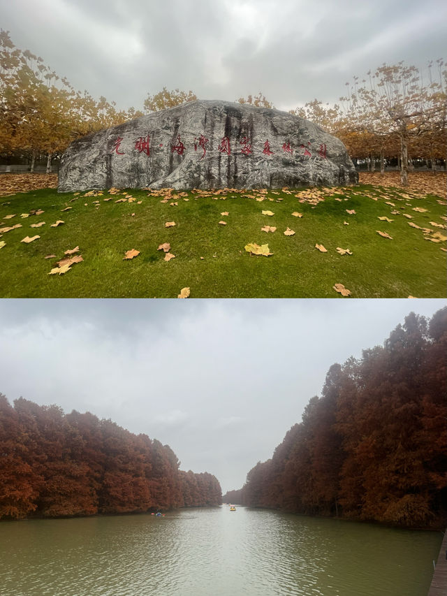 藏在上海的仙蹤之境!海灣國家森林公園美成童話世界 藏在上海的仙蹤之境!海灣國家森林公園美成童話世界