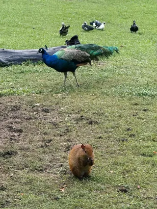 里約小眾景點合集，這些地方真的太被低估了