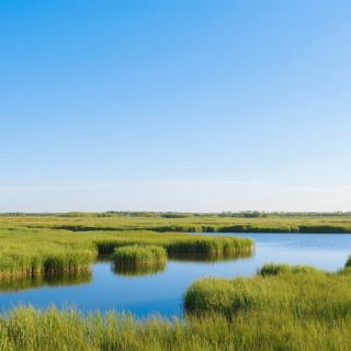 Complete Guide to Must-Visit Attractions in Daqing