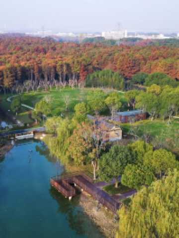 上海新的橫沔公園,開園3天遊客量破萬