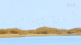 Xinjiang Multiple Scenic Spots Ticket Discounts