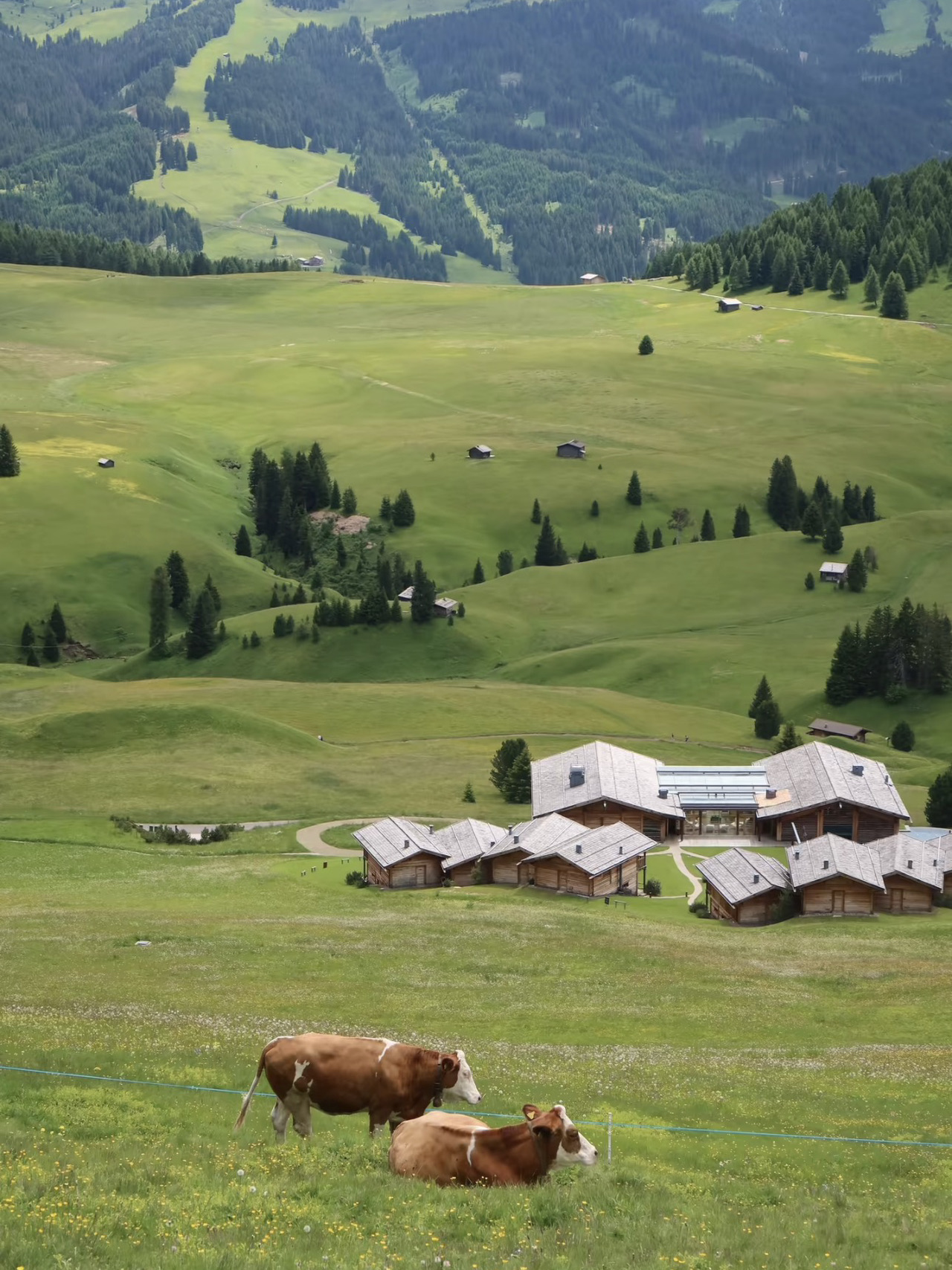 Dolomites nature ✨