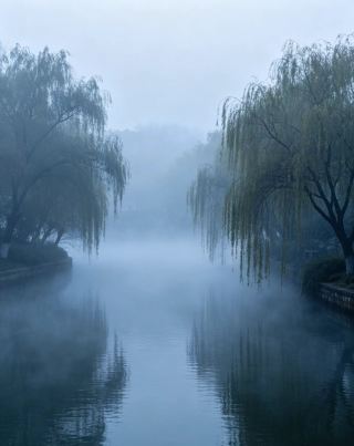 Lake Light Carries a Millennium, Cultural Heritage Nourishes Donghu — One-Day Tour of Pinghu Donghu