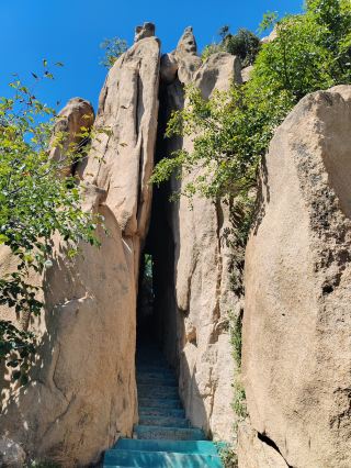 青空の下の山野散策