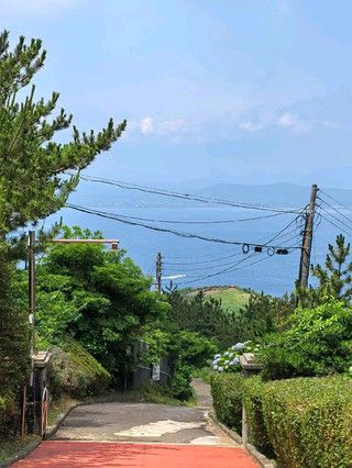 대부분의 관광객이 놓치는 제주의 산책로