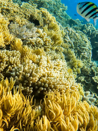 10-day Australia travel guide covering all the highlights