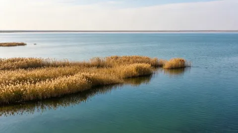 衡水湖保姆級攻略 — traveler post in 保定